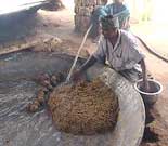 jaggery making